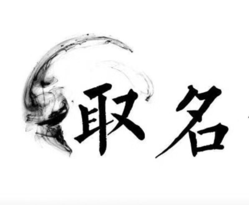  拉萨市宝宝取名 大师一对一人工起名
